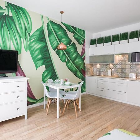 קרקוב Cozy Modern Studio Green Apartment In Old Town מראה חיצוני תמונה